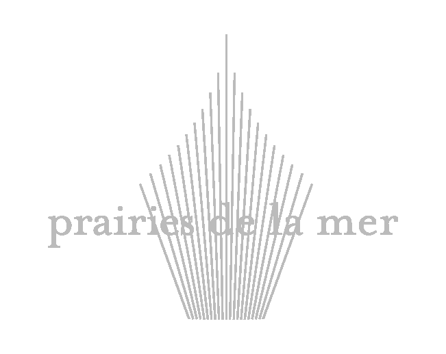 Les prairies de la mer